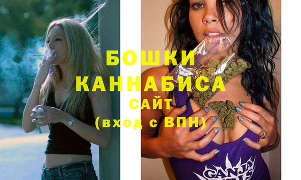 твердый Надым